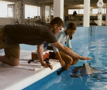 Une scène du film Dolphin Tale