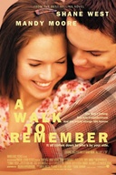 Affiche du film Une promenade inoubliable