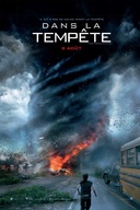 Affiche du film Dans la tempête