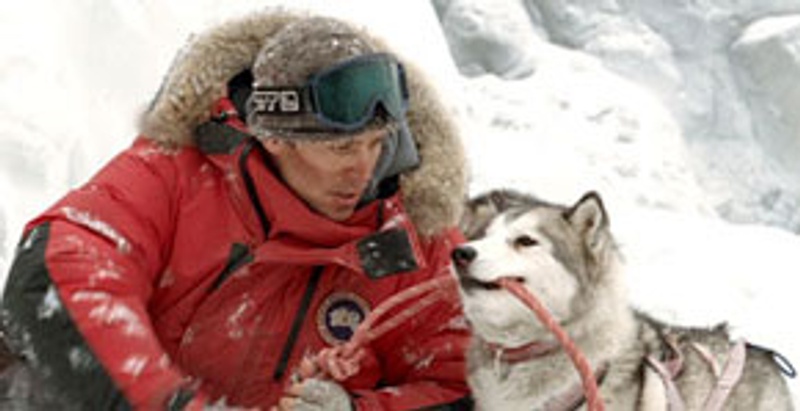 Paul Walker dans Eight Below