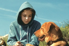 Une scène du film White God