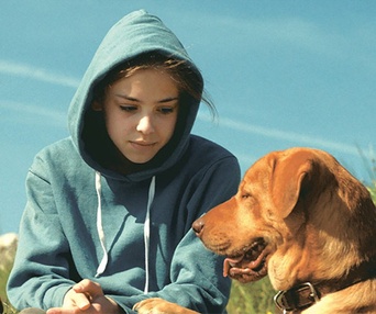 Une scène du film White God