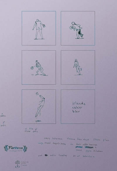 Affiche du film Irlande cahier bleu