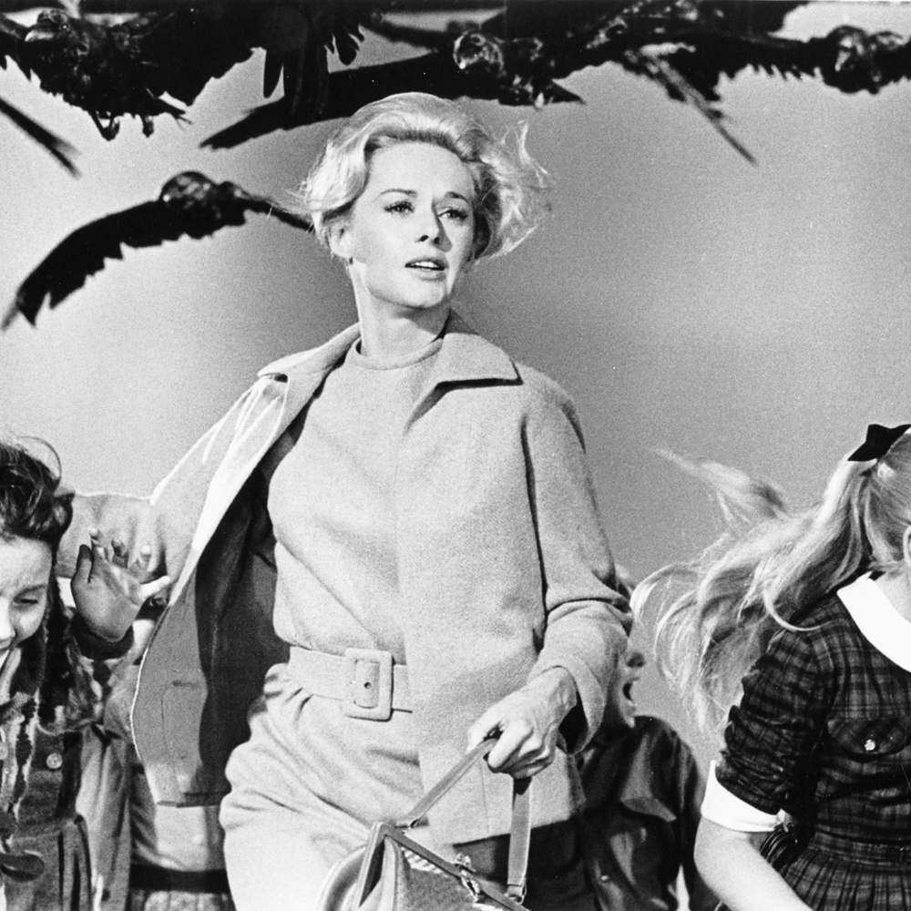 Une scène du film The Birds