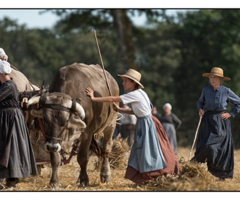 Une scène du film Les gardiennes