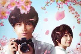 Affiche du film Love Like the Falling Petals