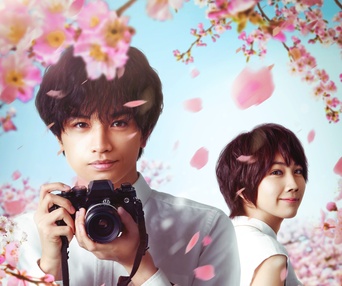 Affiche du film Love Like the Falling Petals