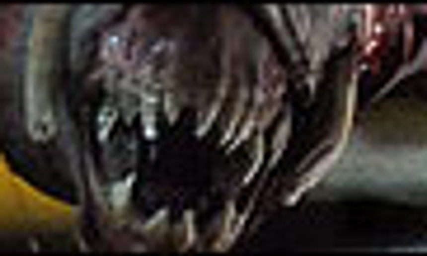 Doom : Images bestiales