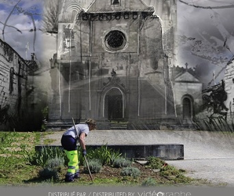 Affiche du film Le film de Bazin