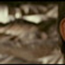Gaston Lepage dans le film Cabotins