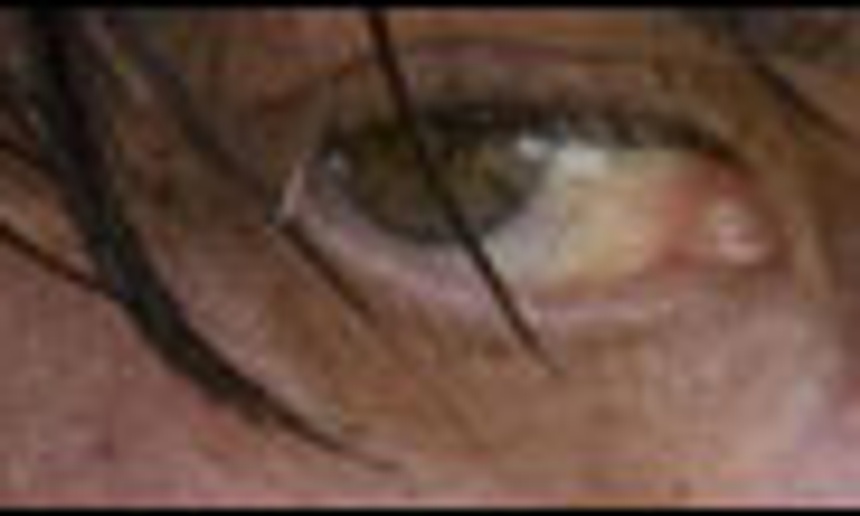 Affiche du film Rambo