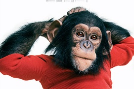 Affiche du film Project Nim
