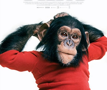 Affiche du film Project Nim