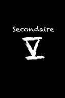 Affiche du film Secondaire V
