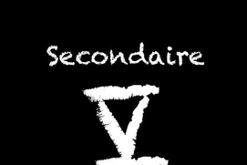 Affiche du film Secondaire V