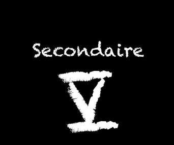 Affiche du film Secondaire V