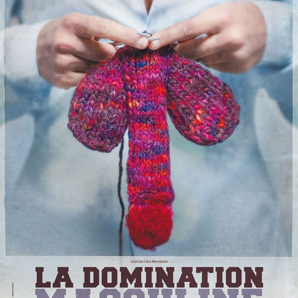 Affiche du film La domination masculine