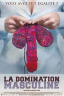 Affiche du film La domination masculine