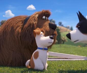 Une scène du film The Secret Life Of Pets 2