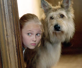 Scène du film Winn-Dixie