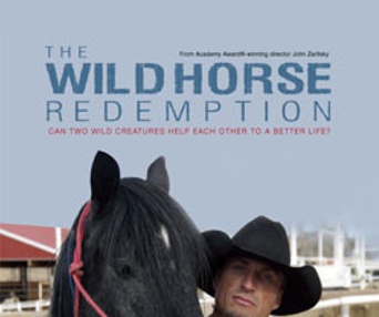 Affiche du film The Wild Horse Redemption