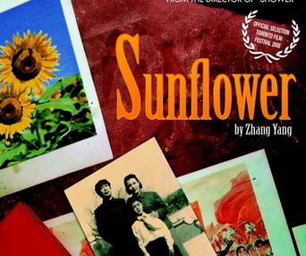 Affiche du film Sunflower