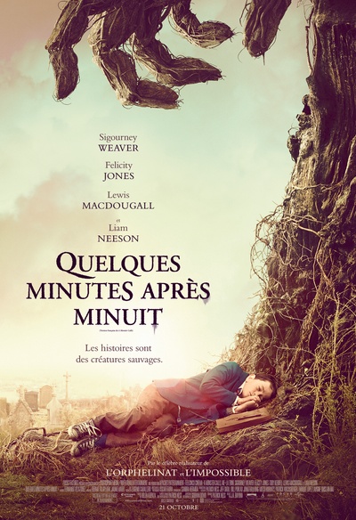 Affiche du film Quelques heures avant minuit