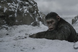 Une scène du film War for the Planet of the Apes