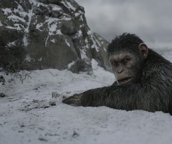 Une scène du film War for the Planet of the Apes