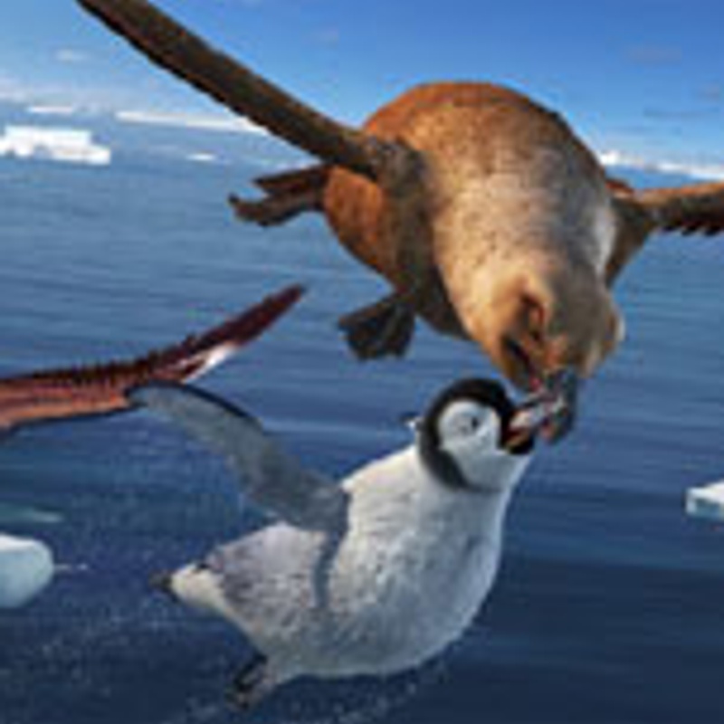 Une scène de Happy Feet