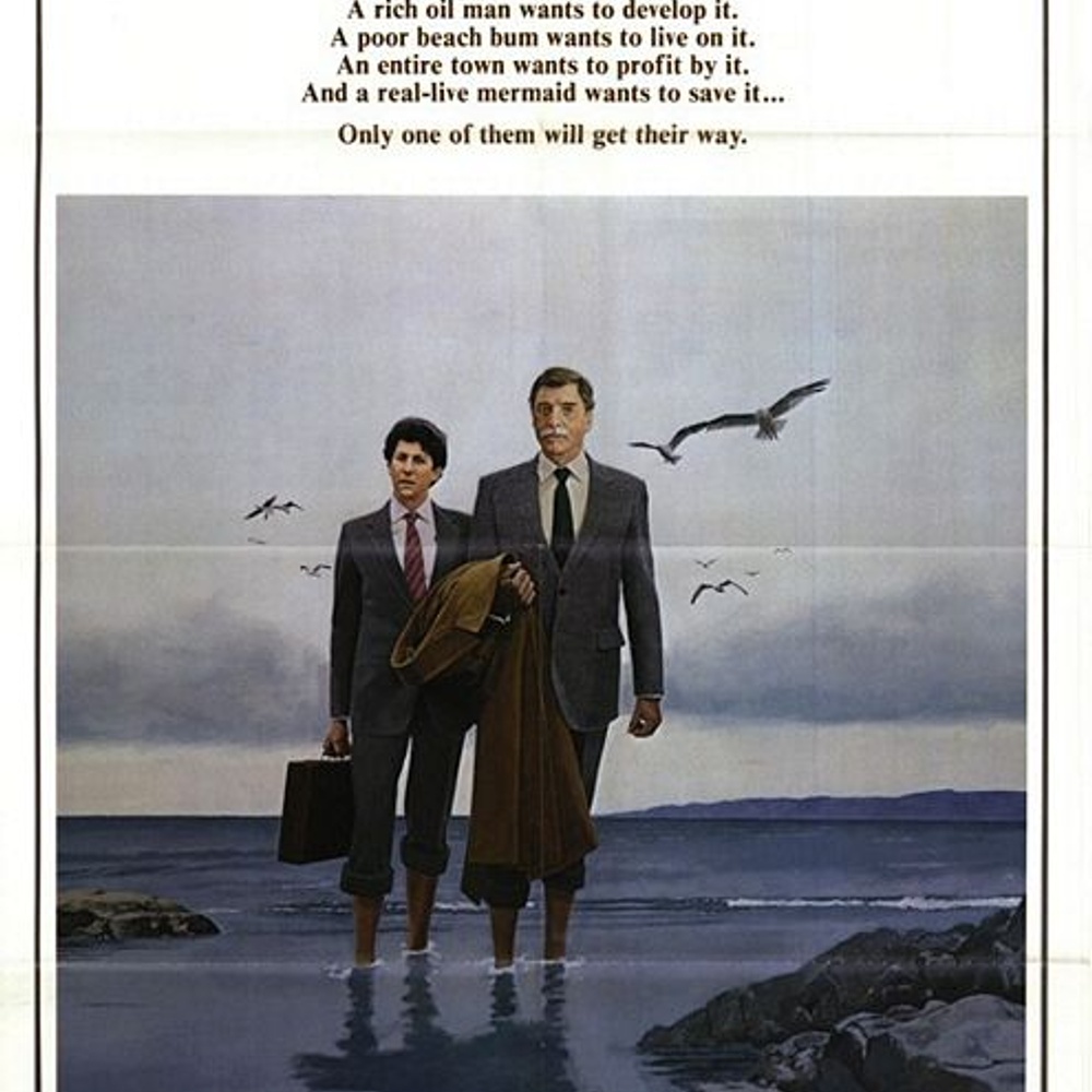 Affiche du film Local Hero