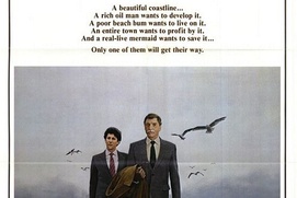 Affiche du film Local Hero