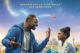 Affiche du film Le prince oublié