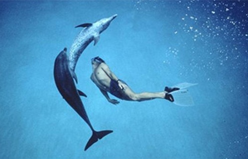 Une scène du film Dolphin Boy
