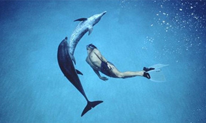 Disney veut transformer le documentaire Dolphin Boy en un film narratif