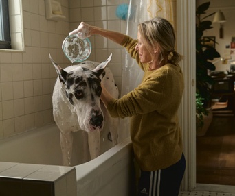 Images du film The Friend