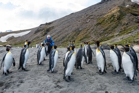 Image du film Antarctique : aux confins du monde