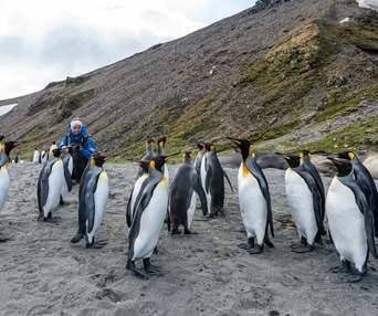 Image du film Antarctique : aux confins du monde