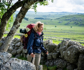 Image du film Compostelle