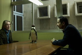 Images du film The Penguin Lessons