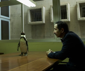 Images du film The Penguin Lessons