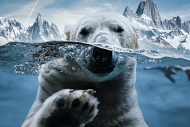 Image du film Nature symphonique