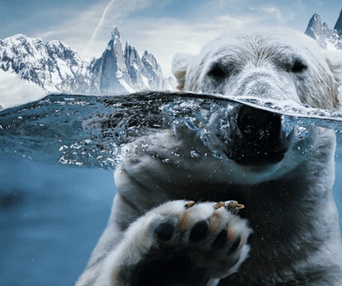 Image du film Nature symphonique