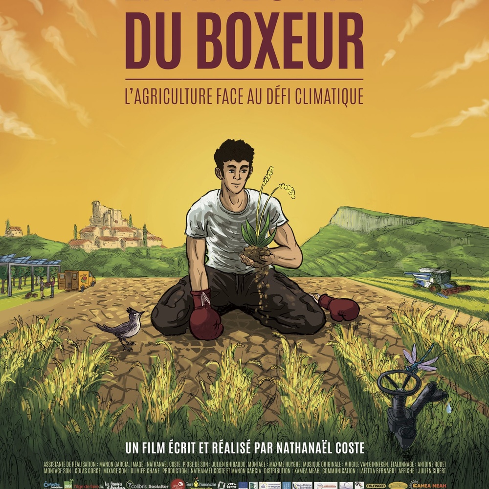 Image du film La théorie du boxeur