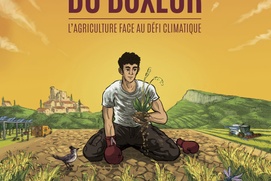 Image du film La théorie du boxeur