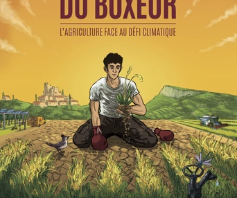 Image du film La théorie du boxeur