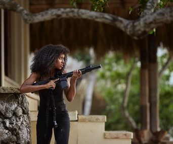 Image du film Shadow Force