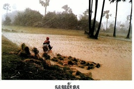 Image du film Les gens de la rizière