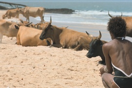 Image du film Le rire et le couteau