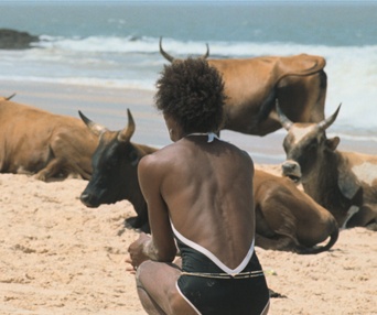 Image du film Le rire et le couteau